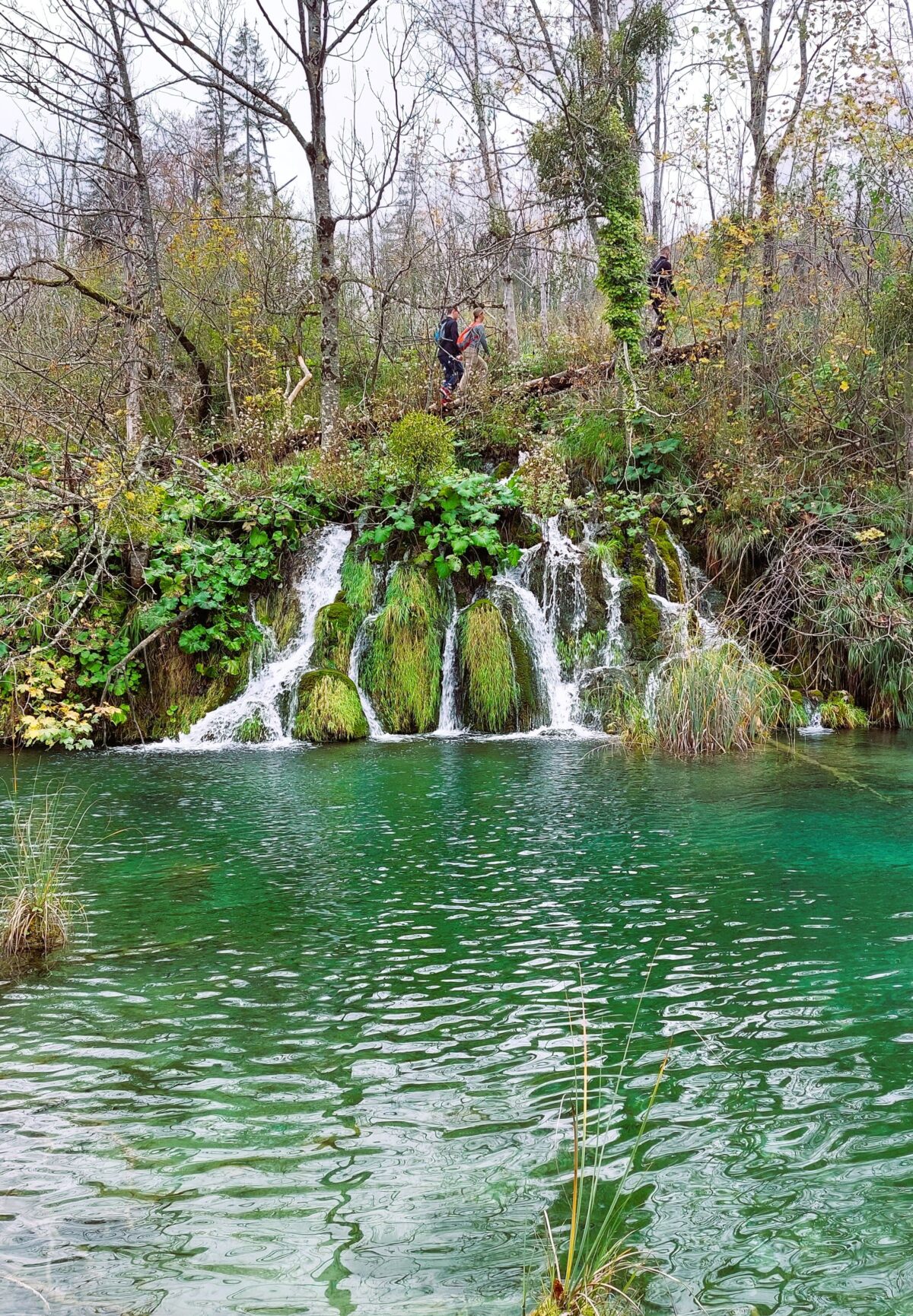 Visiter le parc Plitvice, un oasis à la végétation luxuriante