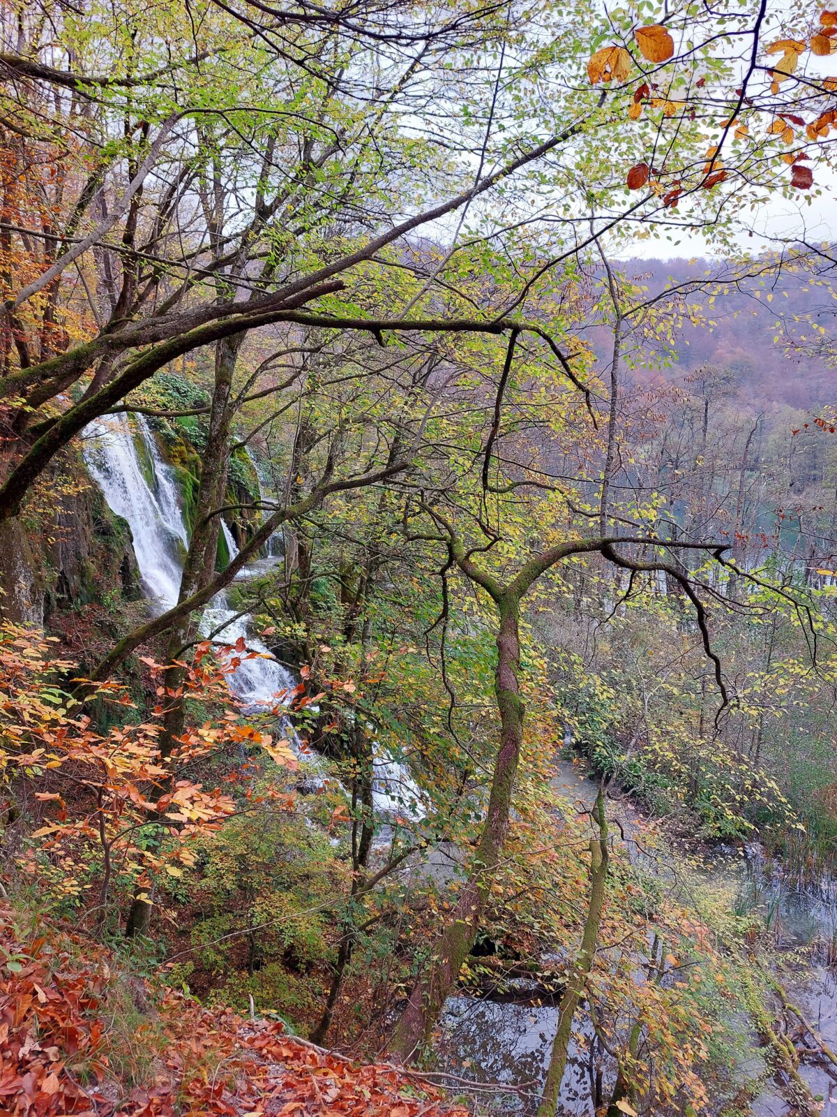 Visiter le parc Plitvice, un oasis à la végétation luxuriante