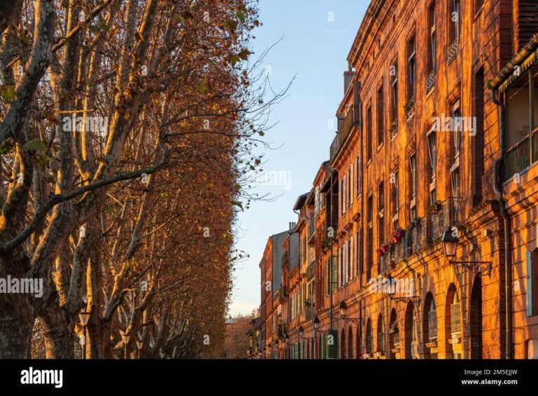 Pourquoi Toulouse est-elle surnommée la Ville Rose 38 batiments en briques roses au coucher du soleil