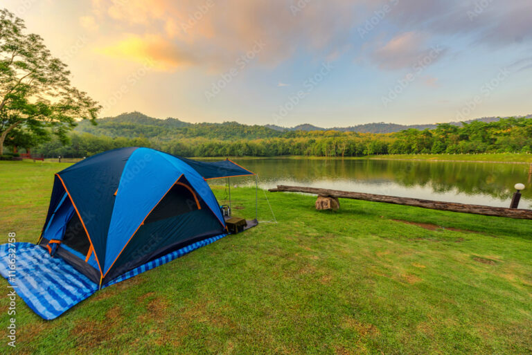 campsite view with tents and nature