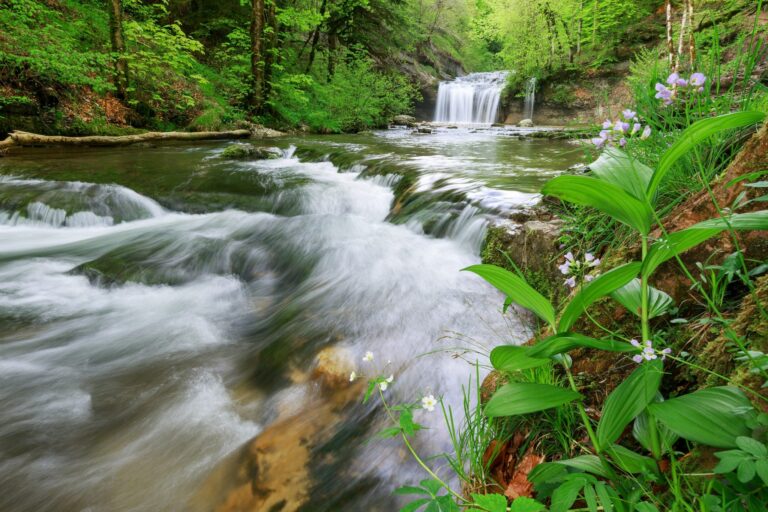 cascades du herisson en pleine nature