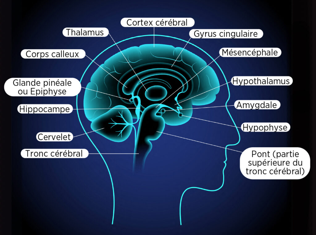 Que savoir sur le syndrome de Michel et pourquoi tout le monde s’en fout