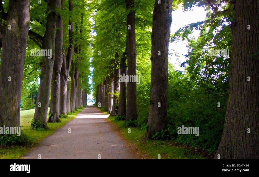 Que savoir sur le chemin du bain des dames à votre prochaine visite