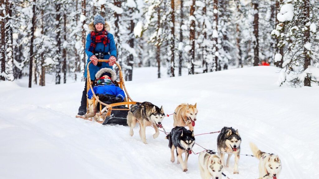 chien de traineau sur les montagnes enneigees