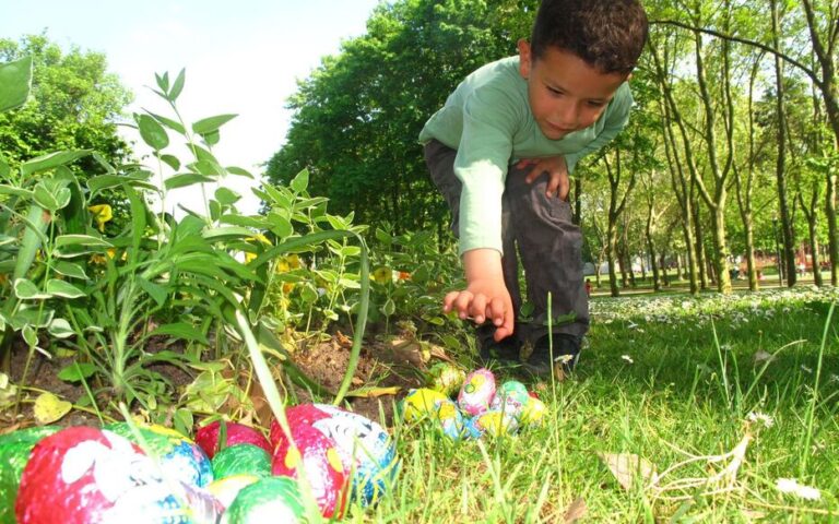 enfants cherchant des oeufs dans un parc