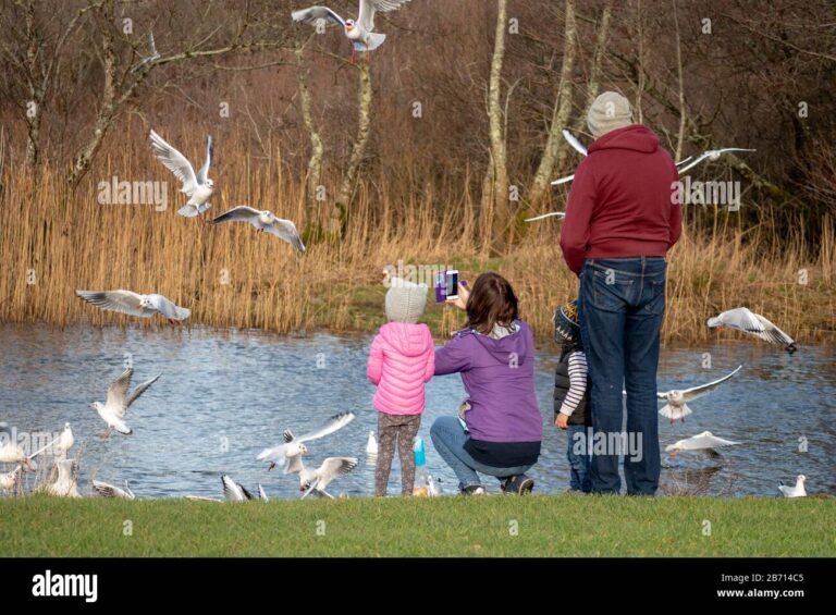 famille samusant au bord dun lac