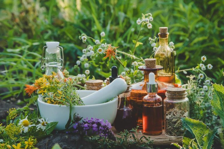 magie vegetale au jardin des plantes