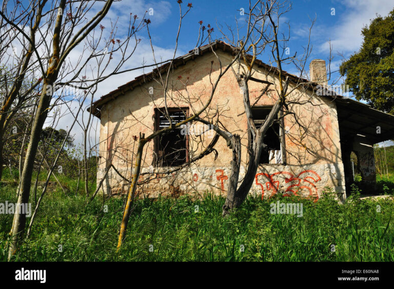 maison abandonnee envahie par la vegetation