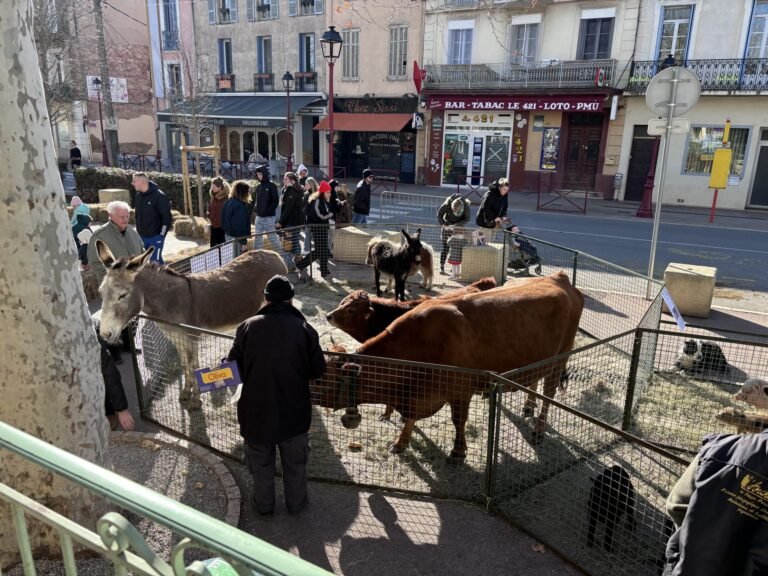 Quel est l'horaire du marché à Les Arcs sur Argens 33 marche anime a les arcs sur argens