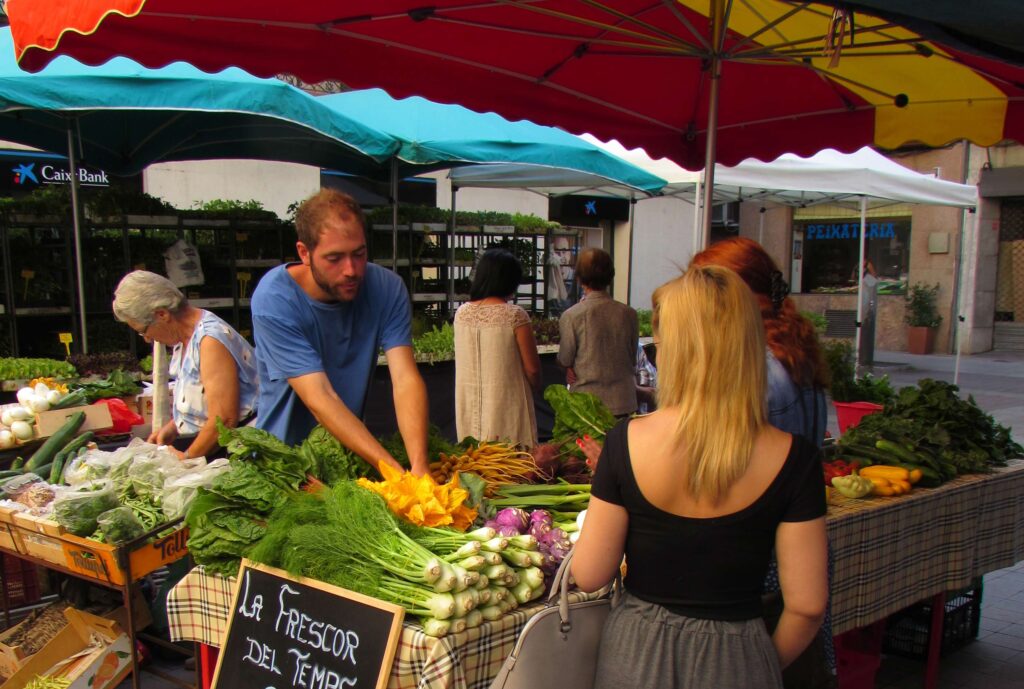 Comment faire ses courses à Bielsa : les meilleures options disponibles