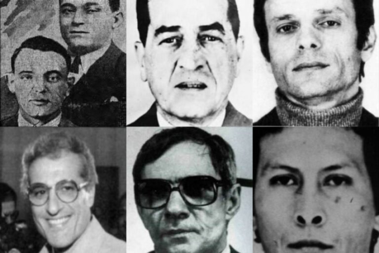 Qui est Milou dans la French Connection selon Wikipédia 8 milou dans la french connection personnage emblematique