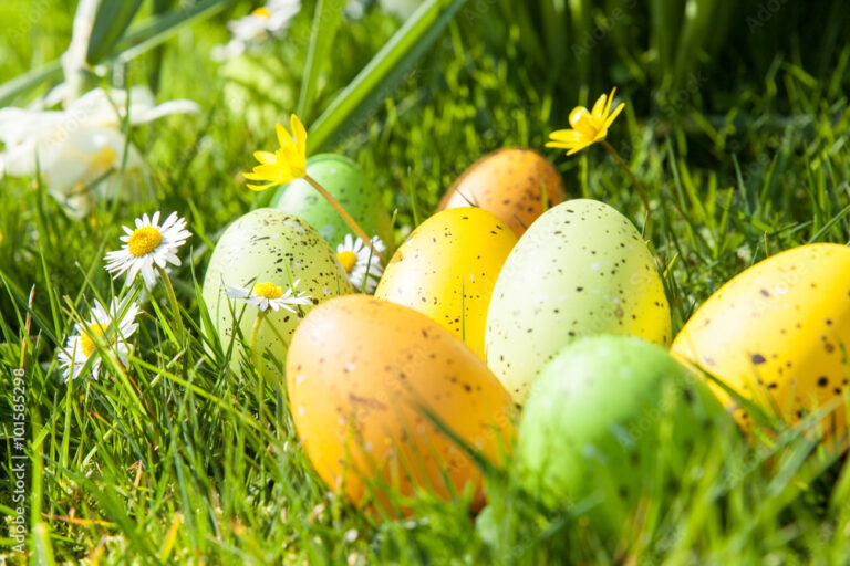 oeufs de paques colores dans un jardin