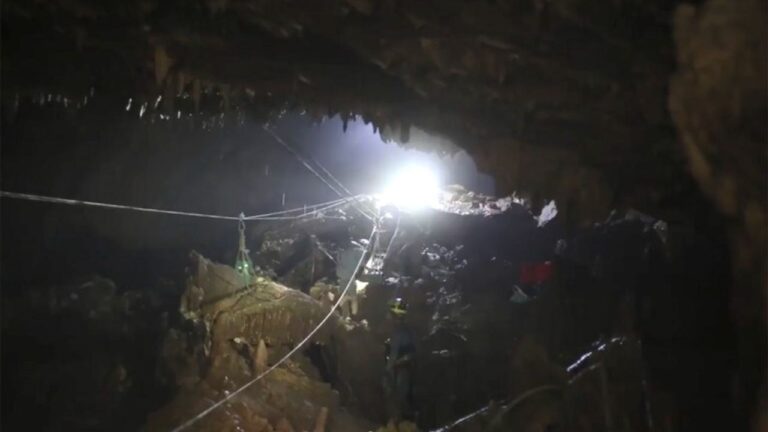 oiseau blanc survolant une grotte mysterieuse