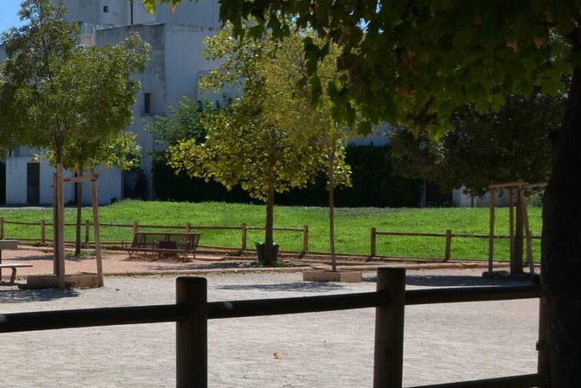 Quelles activités peut-on faire au Parc Henri Fabre à Marseille