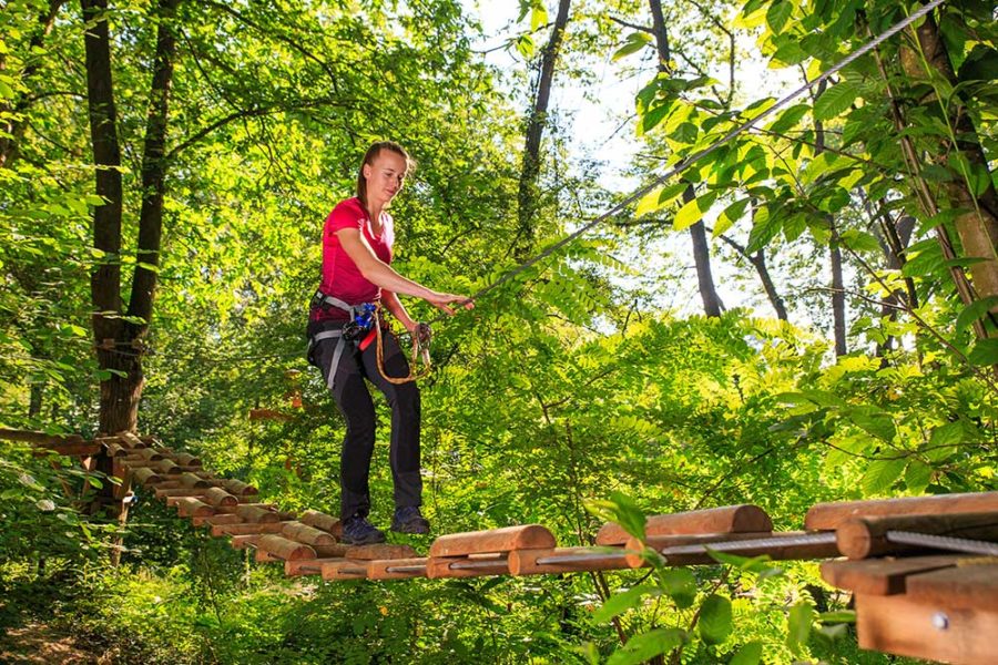 Quelles activités propose l’Ecopark Adventures à Marseille Saint-Jérôme