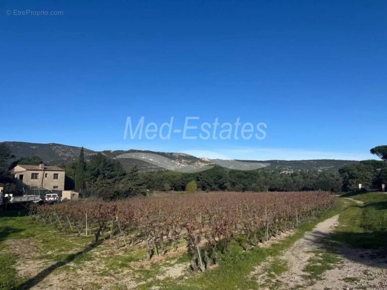 Pourquoi Johnny Depp a-t-il choisi Plan-de-la-Tour pour se ressourcer 16 paysage serein de plan de la tour