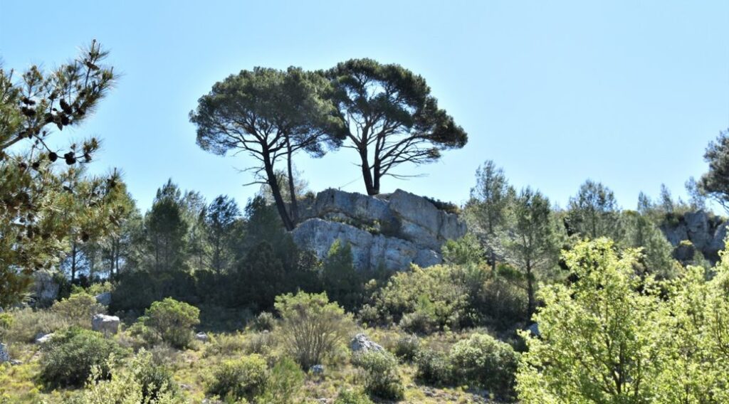 Quels sont les lieux de tournage de « Manon des Sources » en France