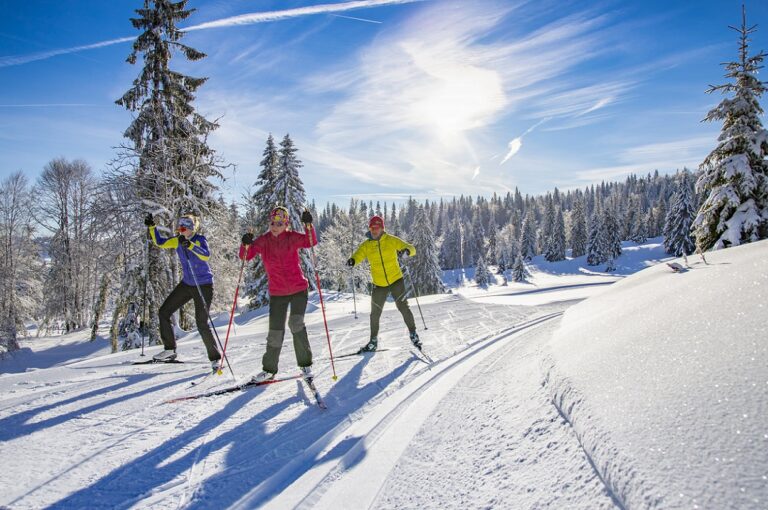 pistes de ski de fond enneigees aux rousses