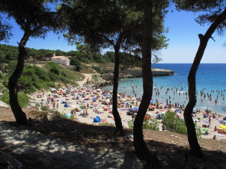 plage animee pres du camping larquet