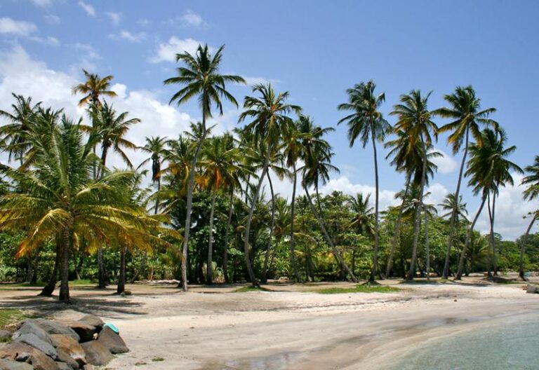 plage de capesterre belle eau ensoleillee