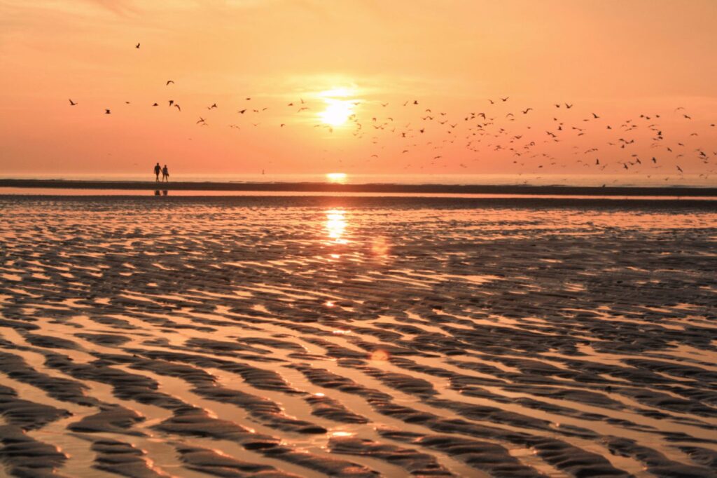 plage de la cote dopale au coucher de soleil