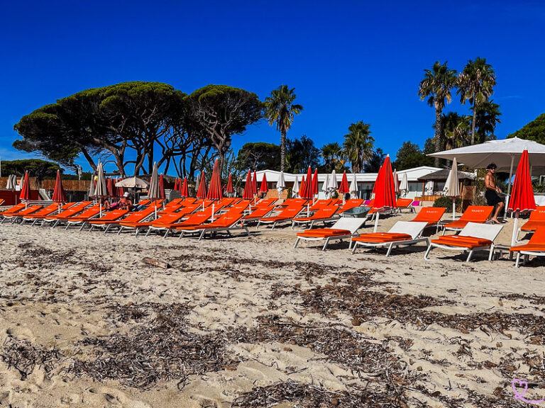 plage de saint tropez soleil et palmiers