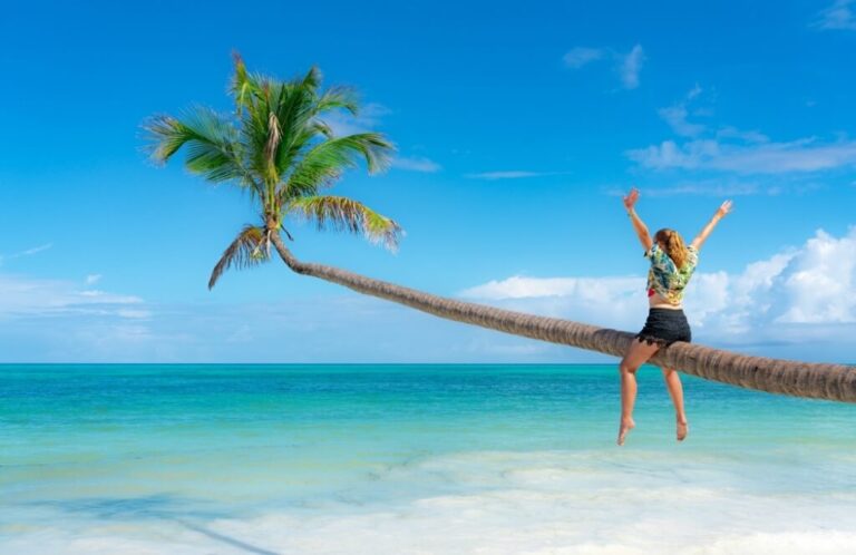 plage ensoleillee avec palmiers en octobre