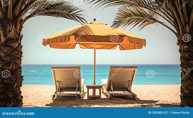plage ensoleillee avec transats et palmiers