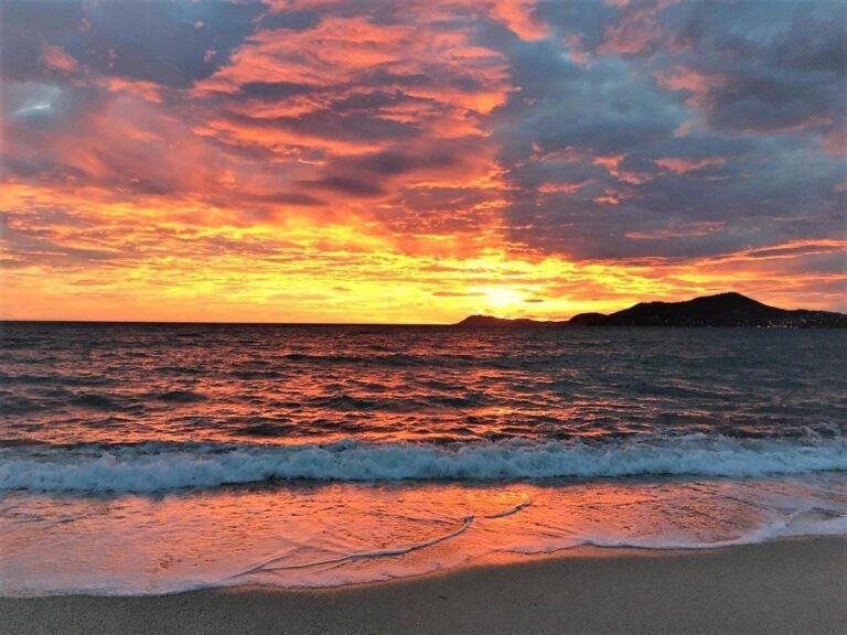 Quelle est la plus belle plage de Six-Fours-les-Plages 11 plage ensoleillee de six fours les plages