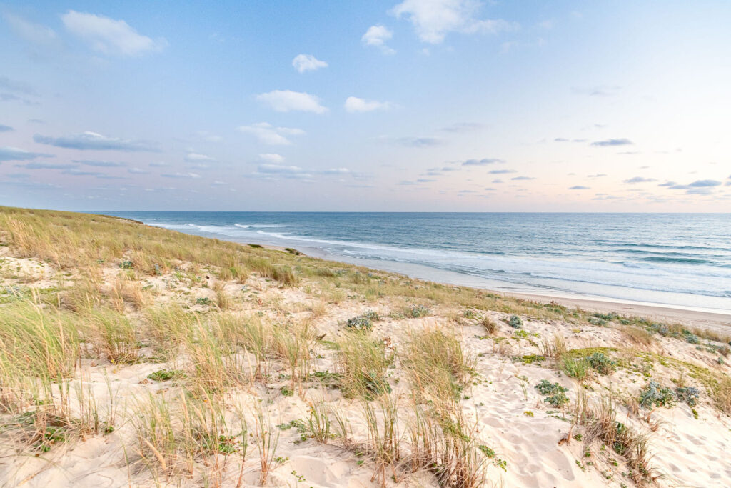 Cap Ferret : Quelles activités et visites à ne pas manquer