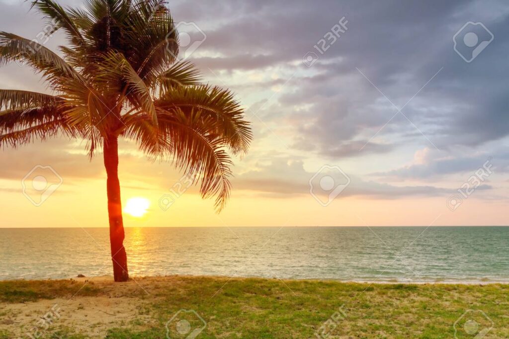 plage ensoleillee en thailande avec palmiers