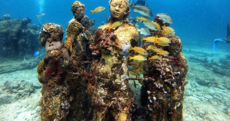plongee dans un musee sous marin fascinant