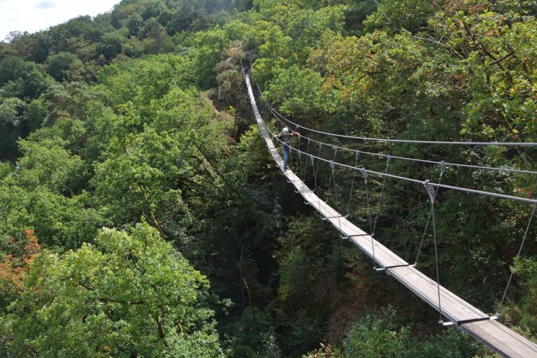 pont de singe suspendu dans la foret