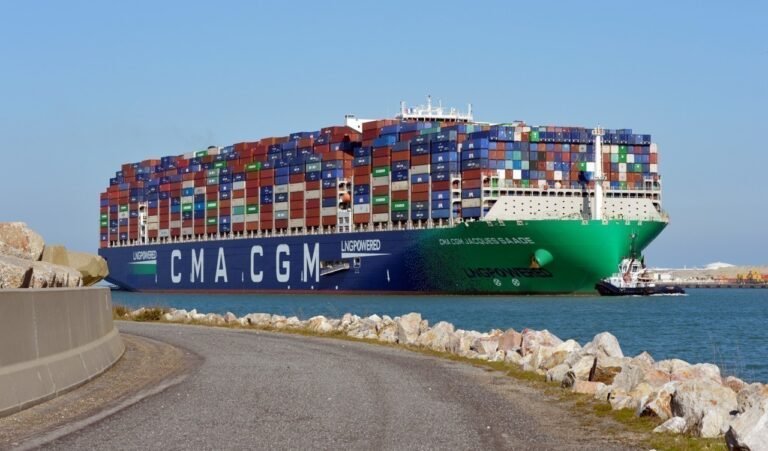 Quel est le plus gros porte-conteneurs de CMA CGM actuellement 28 porte conteneurs geant en pleine mer