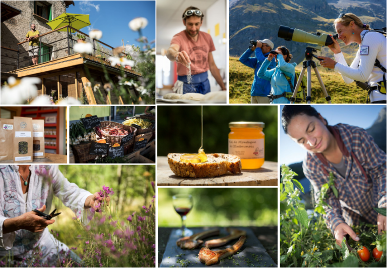 produits naturels et activites en plein air