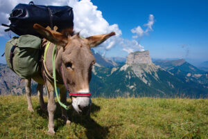 randonnee avec ane dans les montagnes