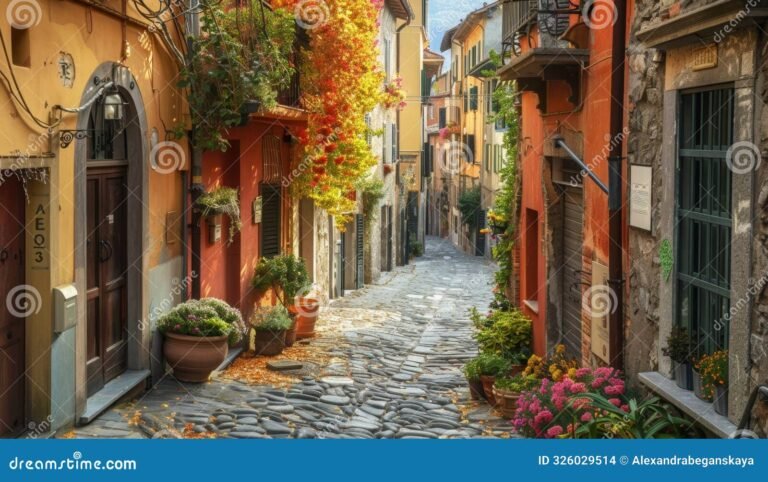 rue pavee avec batiments historiques colores