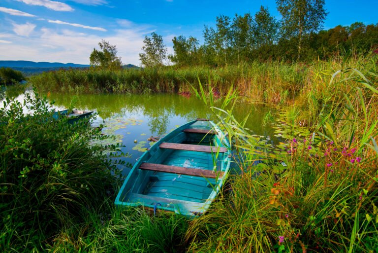 Peut-on faire le tour du lac de Clairvaux à pied ou à vélo 30 sentier autour du lac de clairvaux