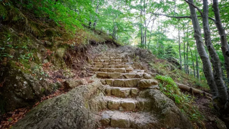sentier menant a la cascade du ray pic
