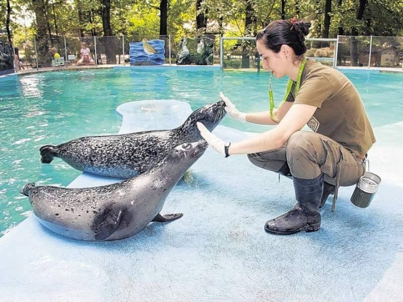 Comment devenir soigneur d’un jour au Zoo de la Flèche