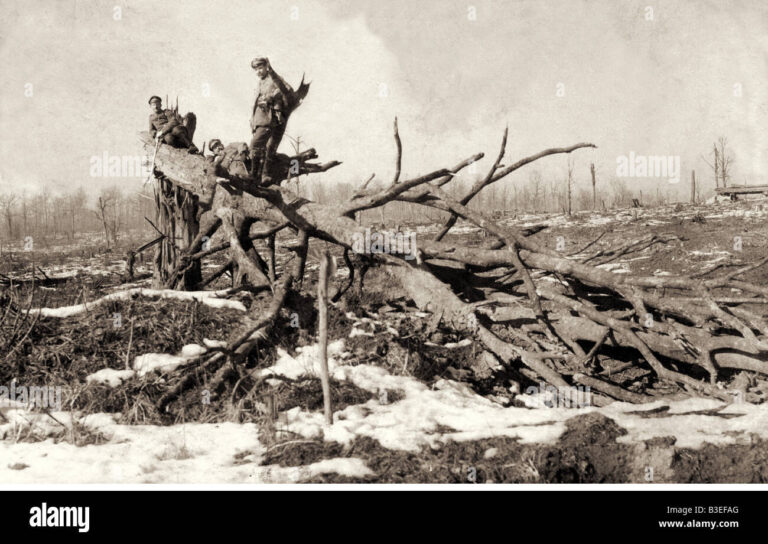 tranchees historiques de verdun paysage devaste