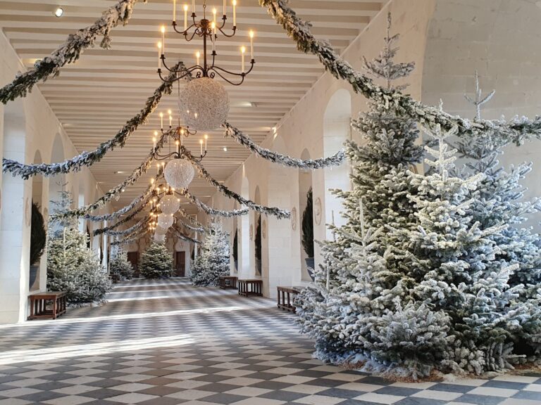 un chateau de la loire decore pour noel