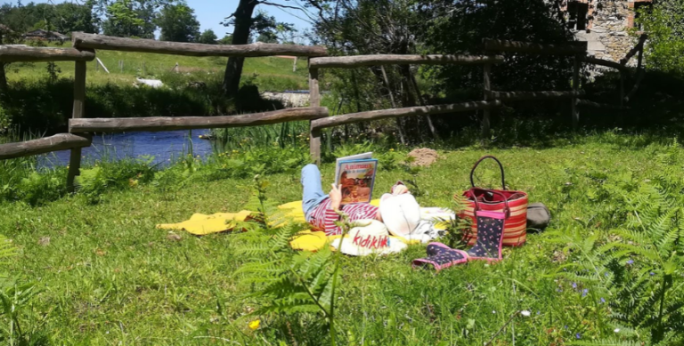 un parc verdoyant avec des familles pique niquant