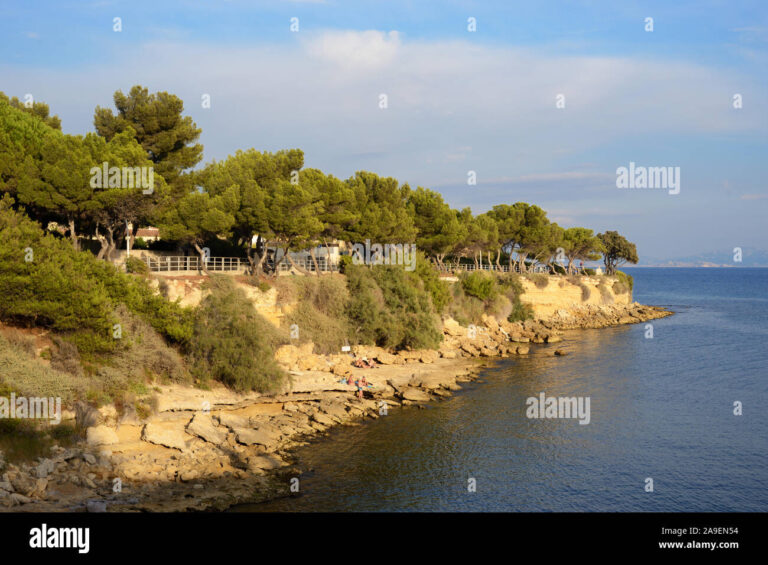 un paysage de sausset les pins ensoleille