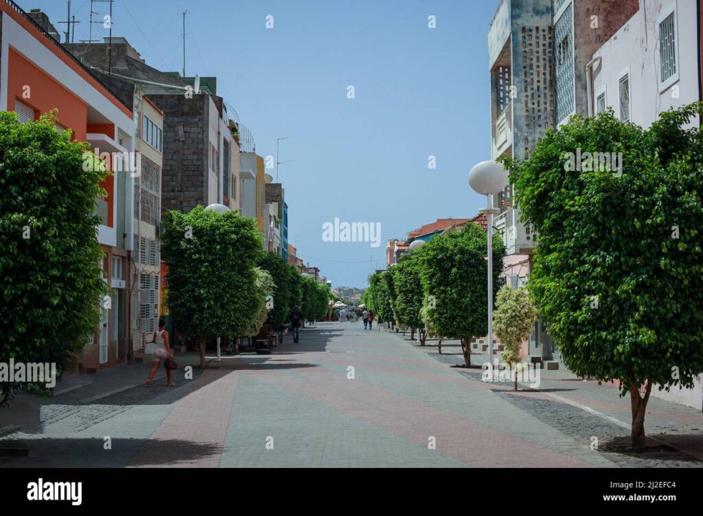 une rue animee avec des arbres luxuriants