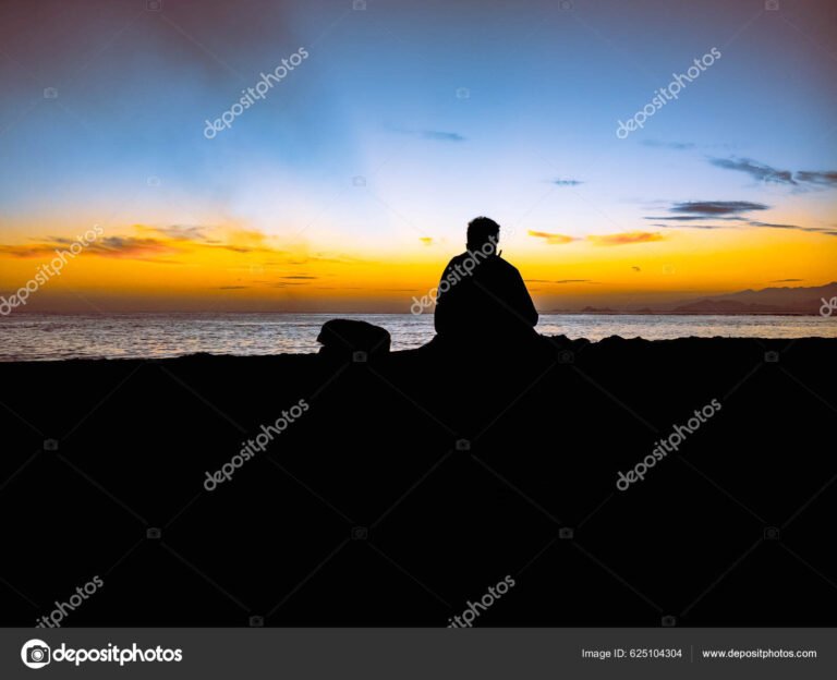 Que signifie la chanson "Pas de mots" de Lynda Lemay 22 une silhouette contemplant un paysage apaisant