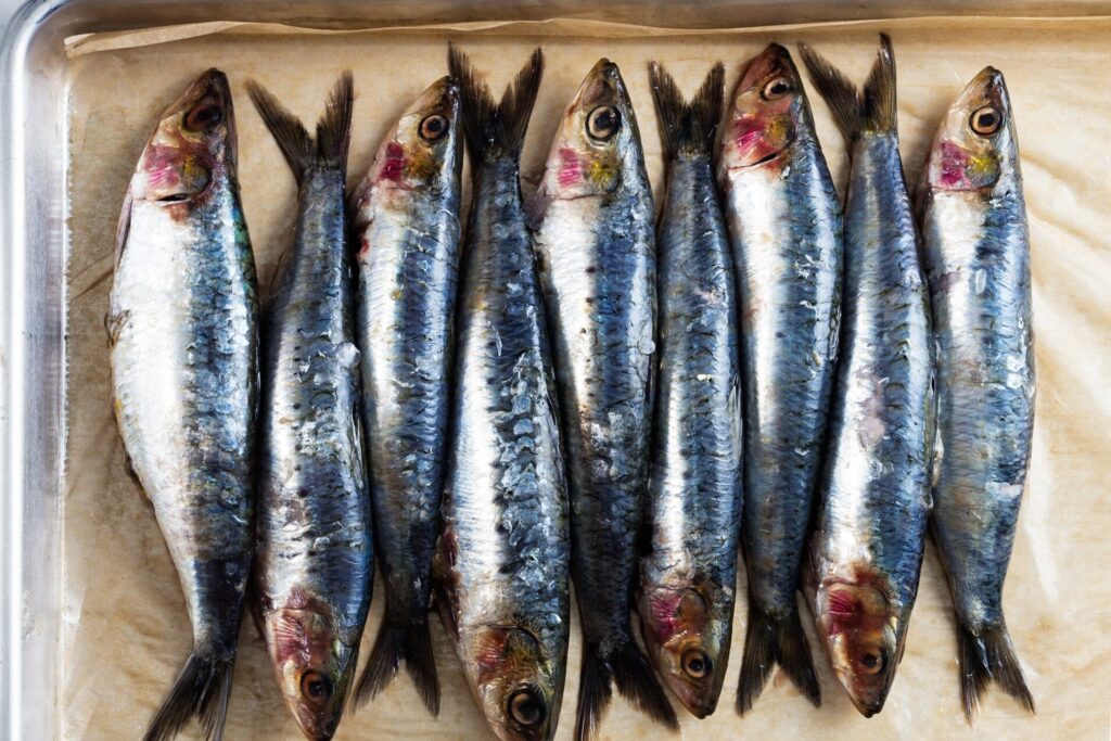 visiteurs degustant des sardines en plein air