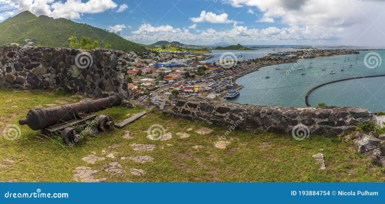 vue panoramique du fort saint louis